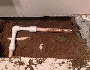 兴山测漏水哪家好