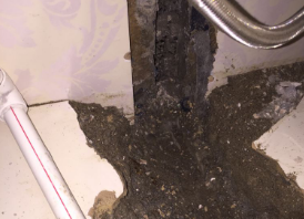 兴山卫生间测漏水哪家好