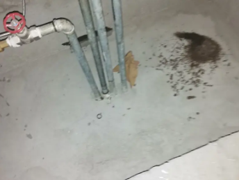 兴山卫生间测漏水价格明细