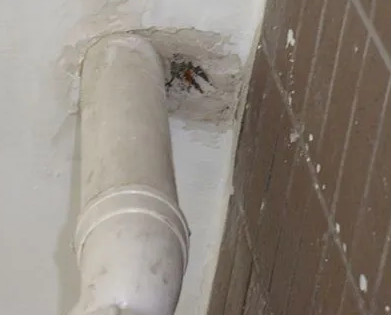 兴山漏水检测哪家好